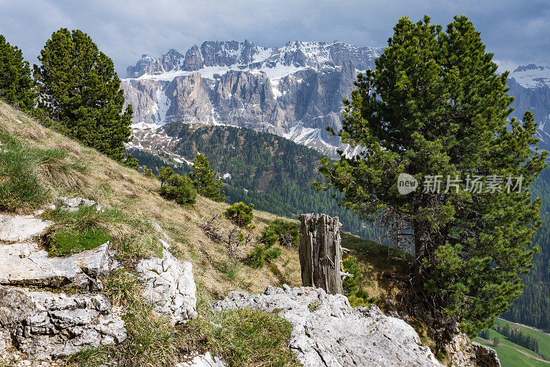 从Dolomites的Monte Stevia观看